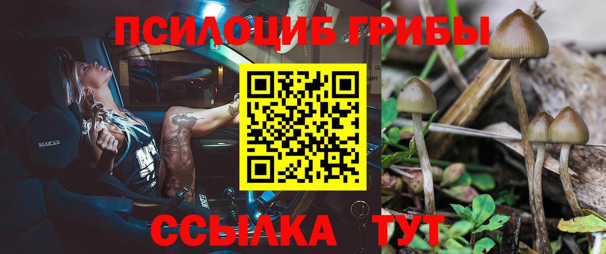 Галлюциногенные грибы мицелий Златоуст